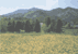 ܖAuv